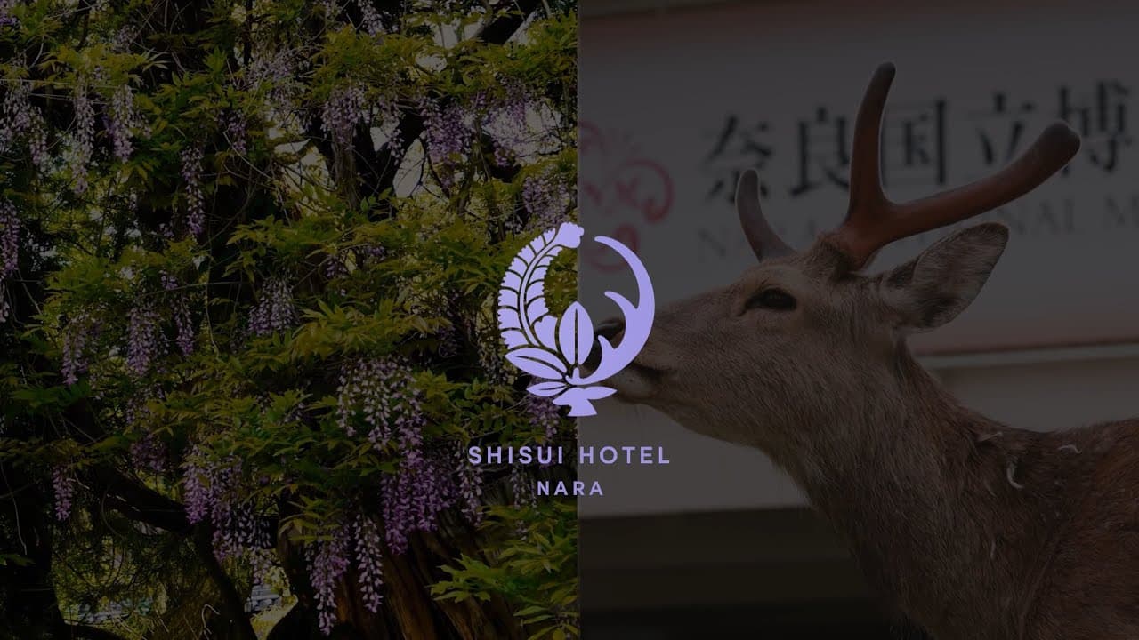 奈良県・奈良 - 紫翠 ラグジュアリーホテル 奈良